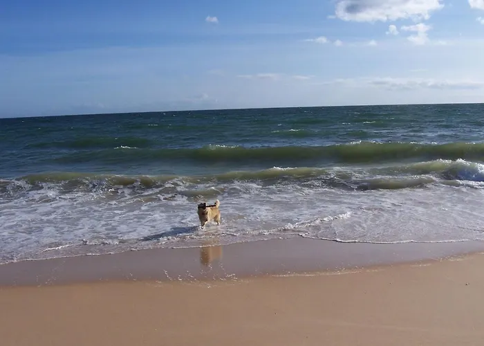 Дом отдыха Monte Alegrete By Interhome